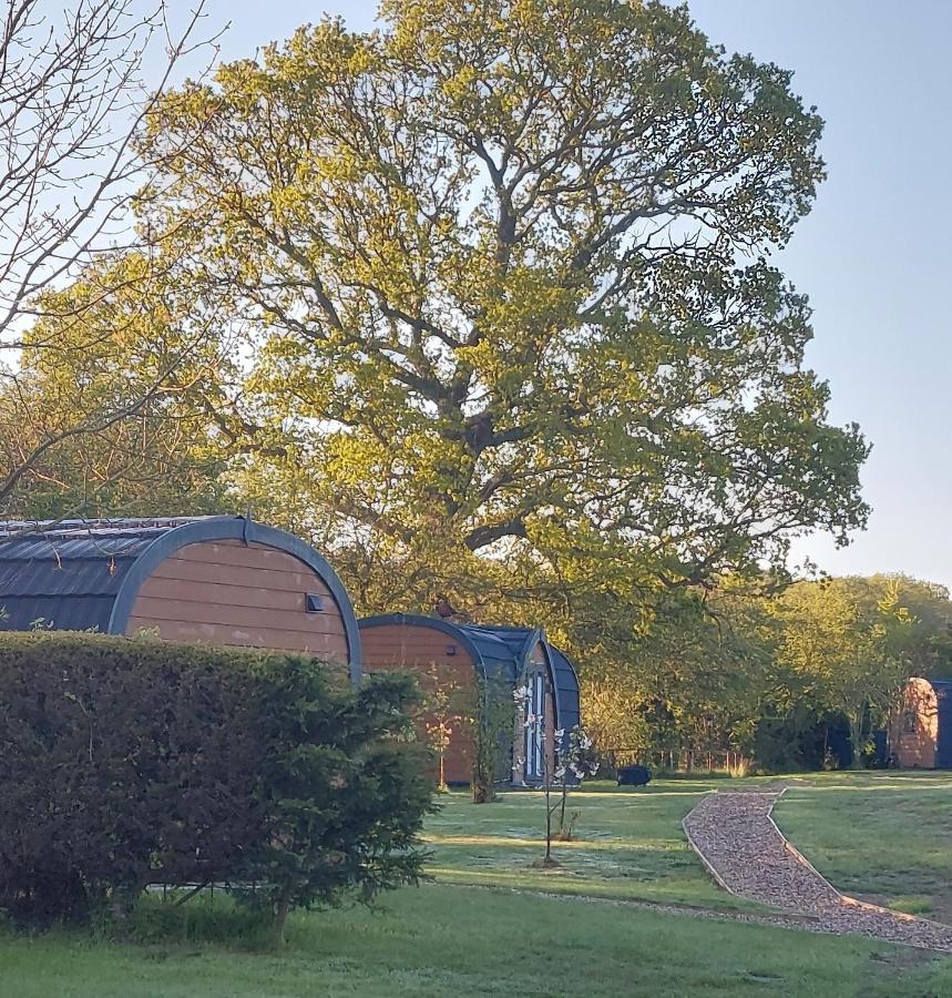 Oak Lodge Pods Lowestoft Exterior photo